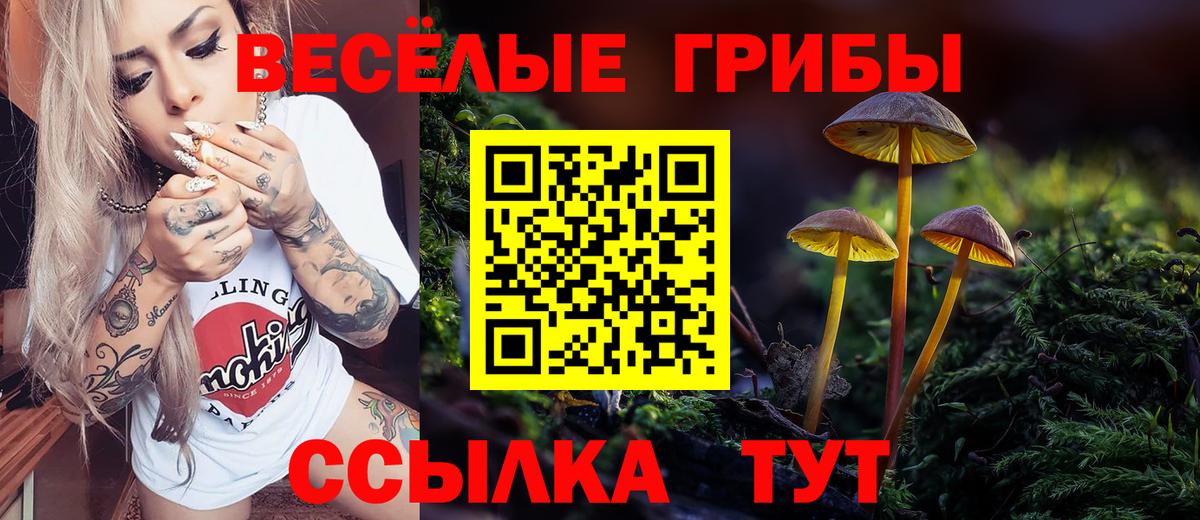 Галлюциногенные грибы Cubensis  Псилоцибиновые грибы Cubensis  Вход с VPN  Симферополь 